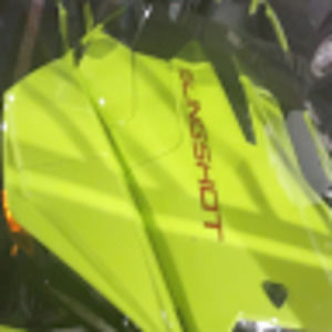 Meet your Posher, Chase